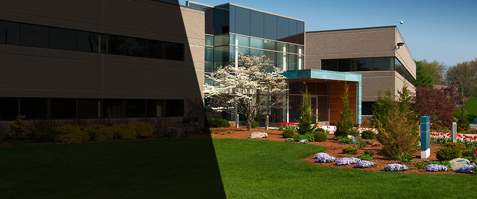 Penn Yan Landscapers