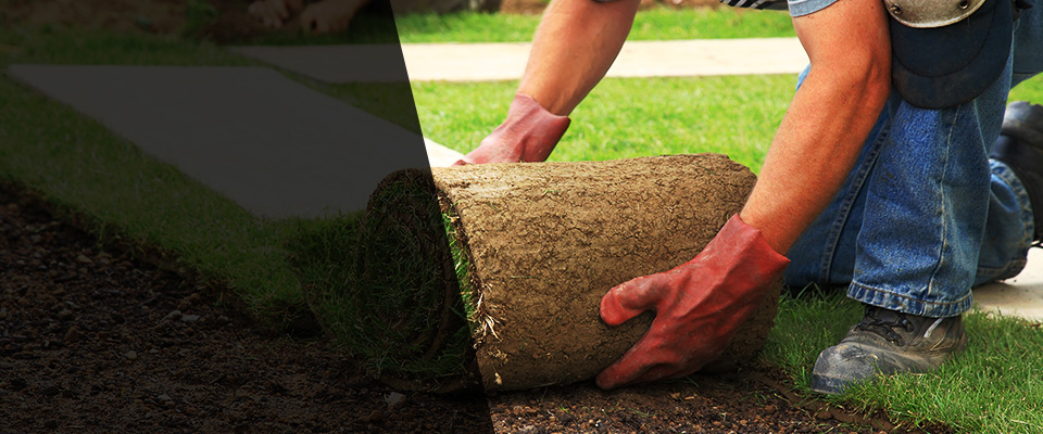 Penn Yan Landscapers